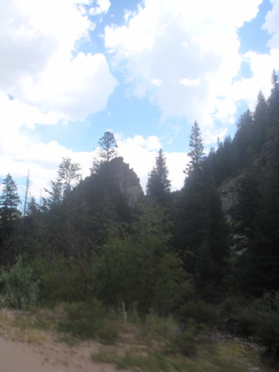 a view of trees and mountains in a forest