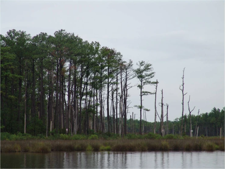 there is a boat on the lake surrounded by trees