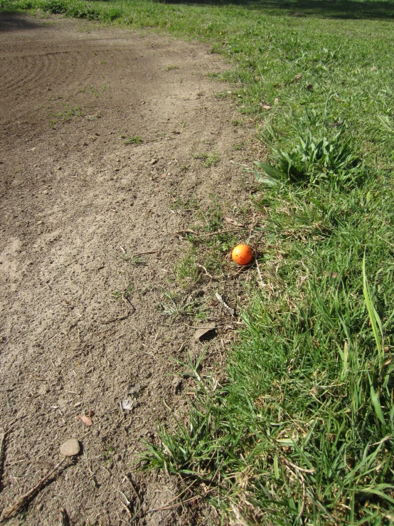 an orange on the ground near some grass