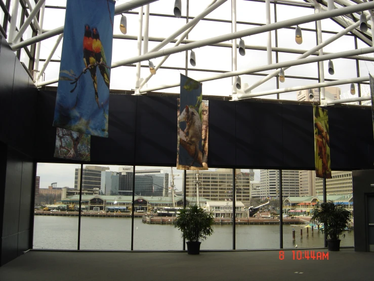 a wall covered in pictures of birds hanging from a metal structure