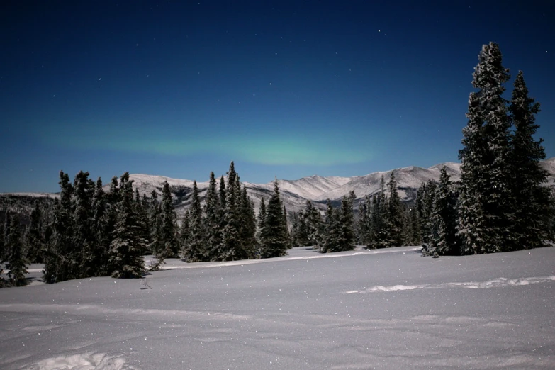 there is a picture of a snow covered area