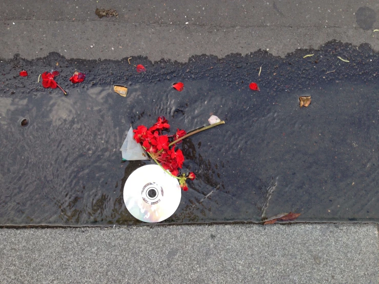 a small disc is laying on a pavement