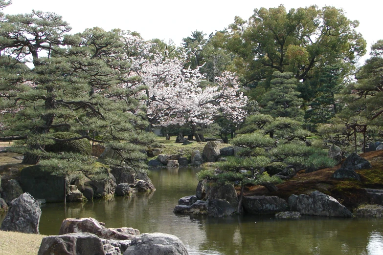 this is a garden with water and rocks