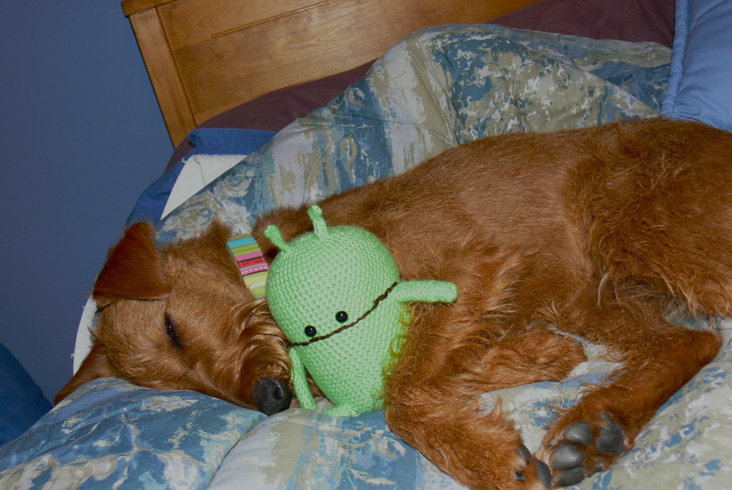 there is a dog laying on a bed with a stuffed toy