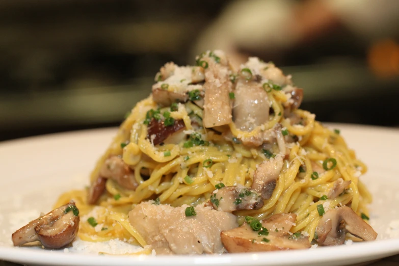 plate of pasta with chicken and mushrooms in sauce