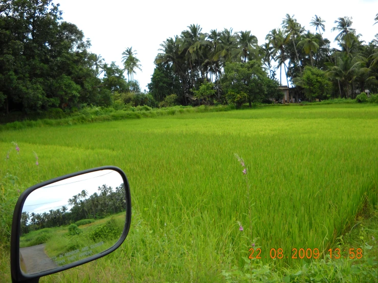 an empty road with trees and vegetation in the background