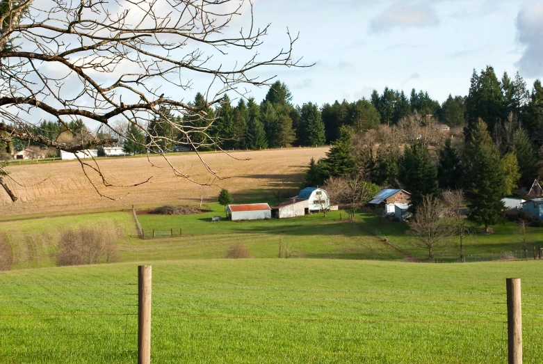 farm buildings are in the distance with two horses grazing on grass