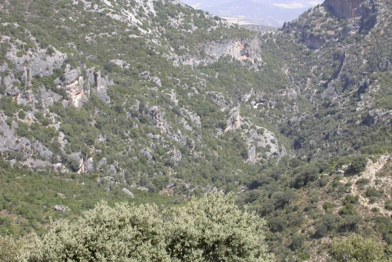 some green bushes rocks hills and trees