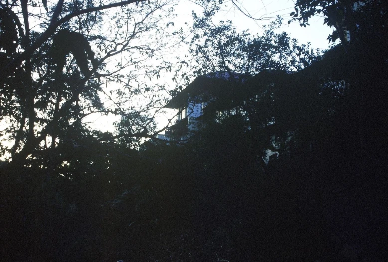 a building in the background with many trees in front