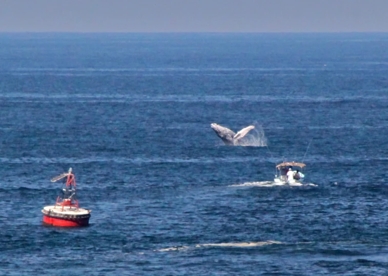 two boats are out in the water with a humpback