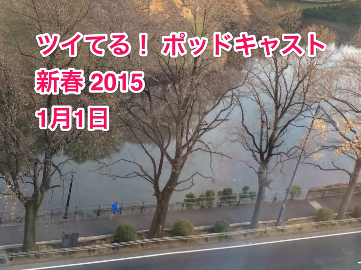 a scenic po shows trees near a river