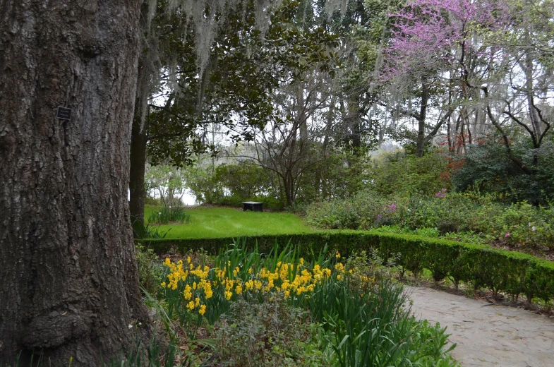 a lush garden with a sidewalk between it and trees