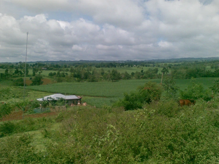 an overview view of farm land and a small house