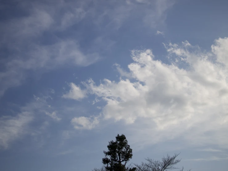 two giraffes and a tree in the middle of a cloudy sky