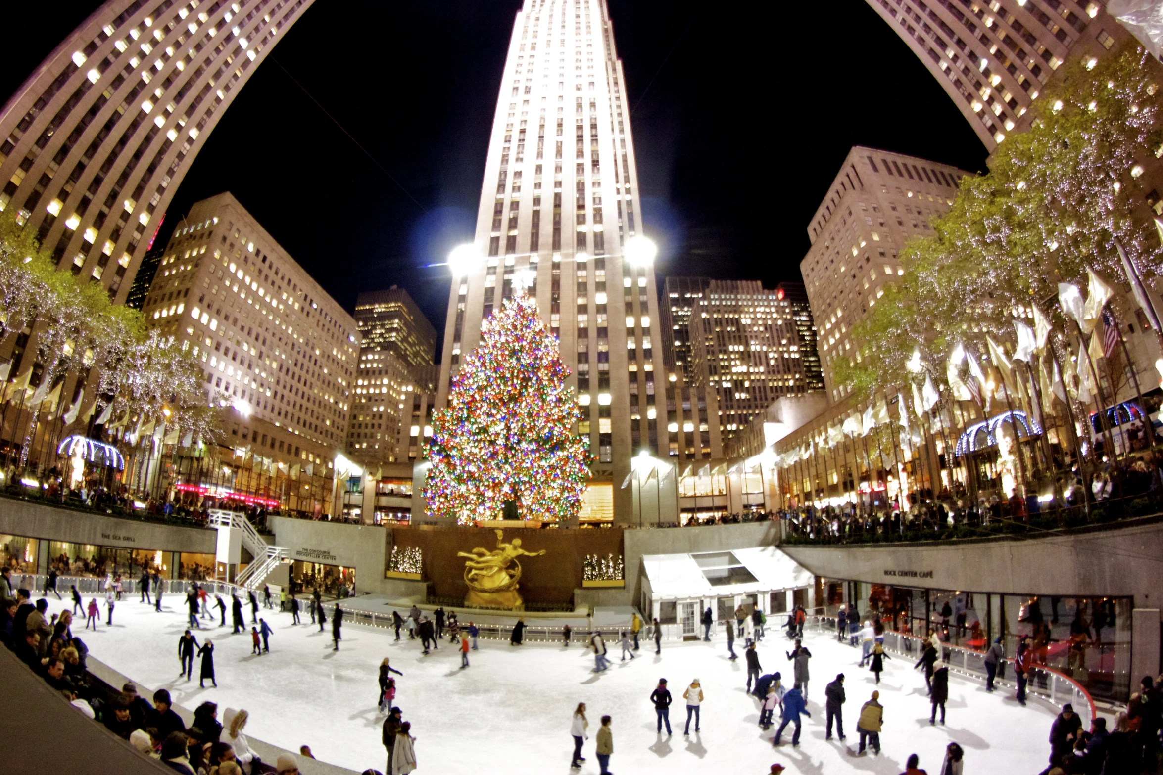 people skating at a mall rink in front of a tall christmas tree