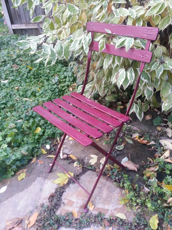 a red and purple wooden chair next to bushes