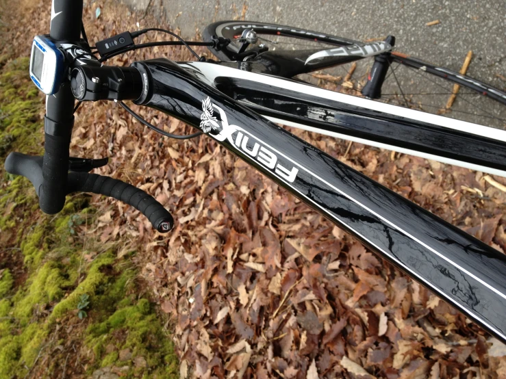 a bike parked next to leaves in front of a path