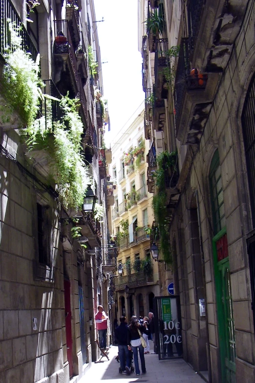 a street lined with narrow stone buildings and green plants on the windows