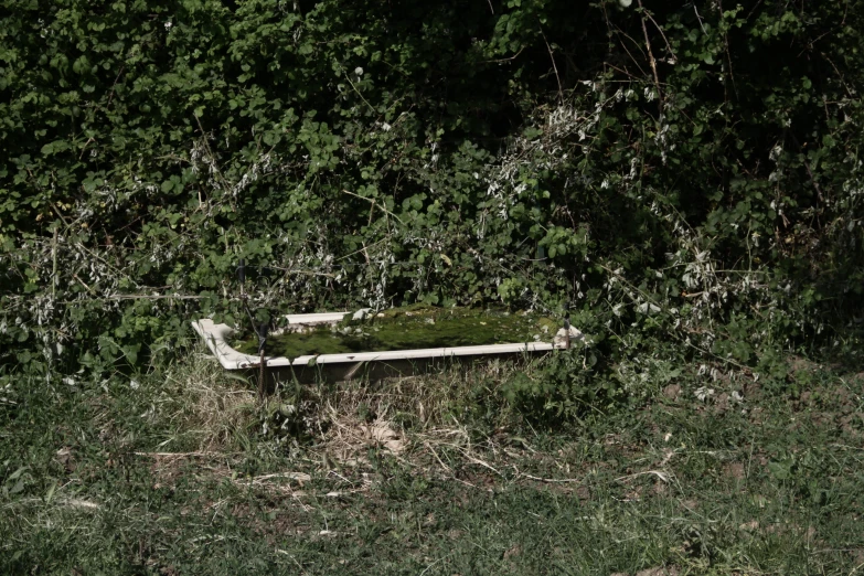 an old abandoned bathtub is outside in the woods