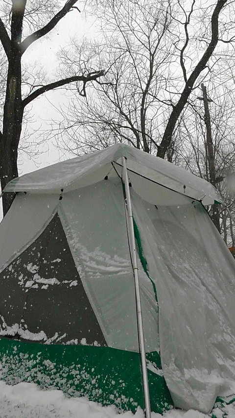 a tent in the snow with trees and snow in the background