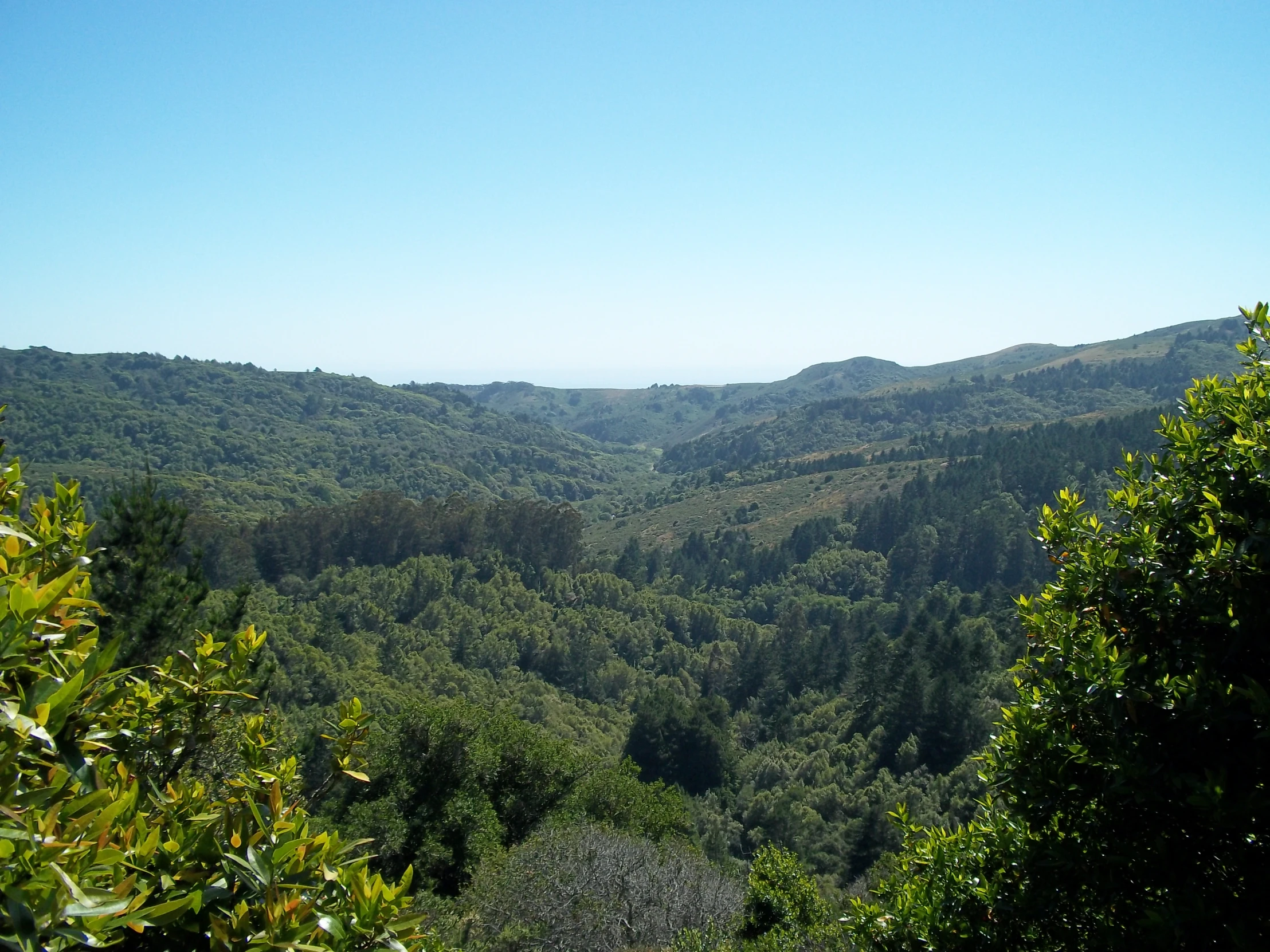 a view from the top of a hill on a bright day