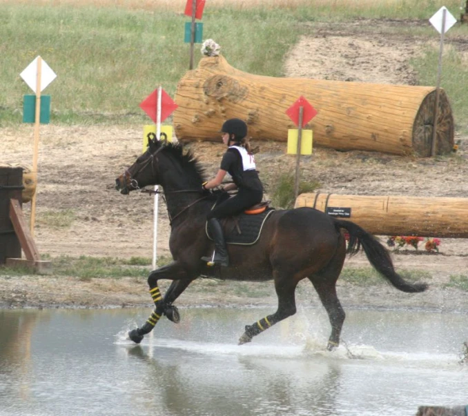 a man in a horse outfit is riding the water