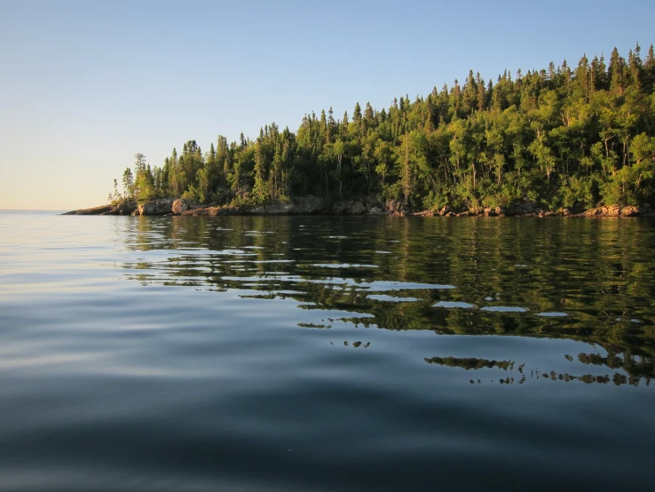 trees line a shoreline in a serene bay