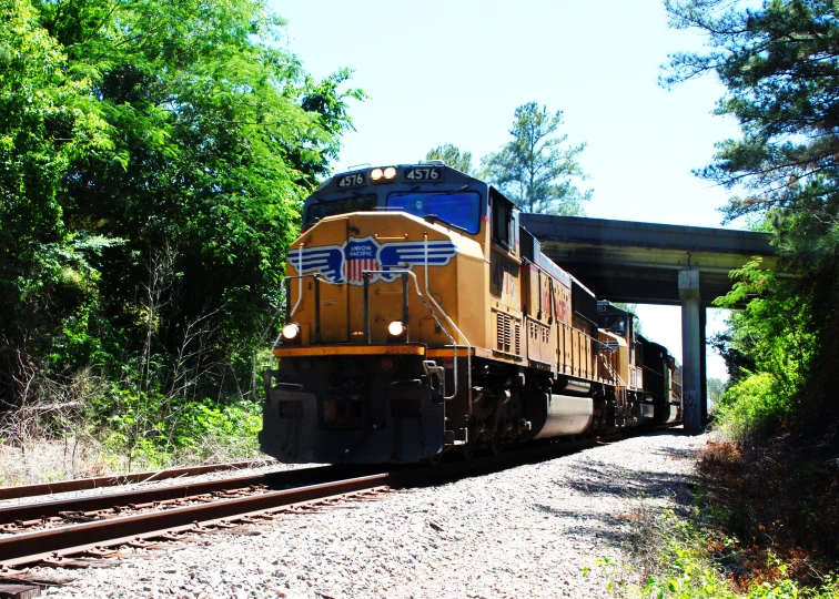 a train traveling down tracks near a forest