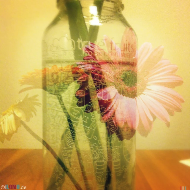 pink flowers in a glass jar that is empty