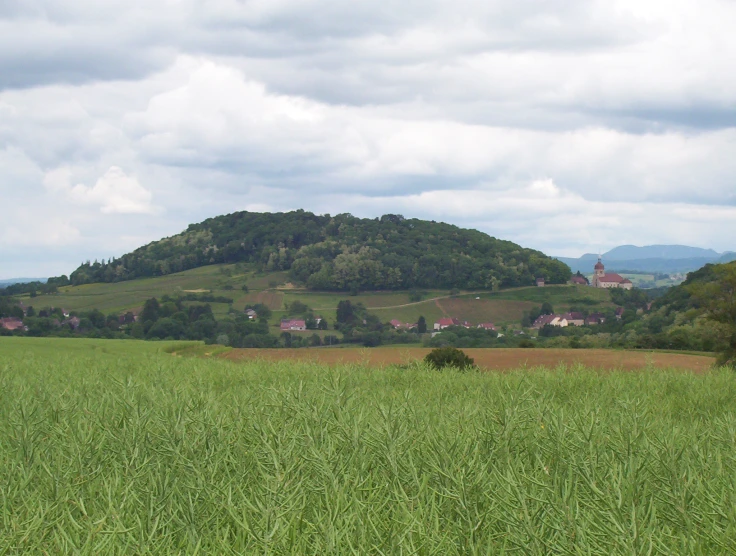 a green grassy field with a small building and some hills