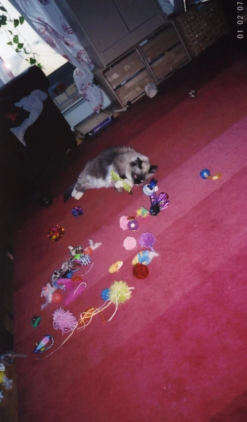 a dog laying on the floor with many decorations on it