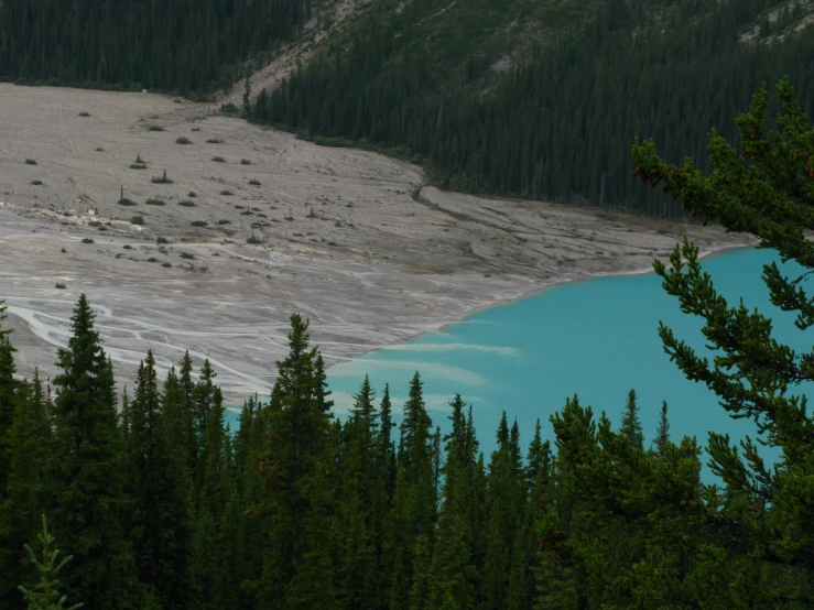 a group of trees surrounding a blue lake