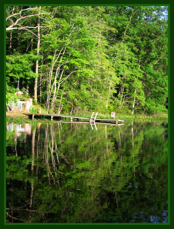 a person on a log floating in the water