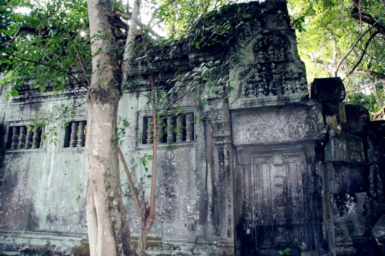 a old building with a tall tree growing outside