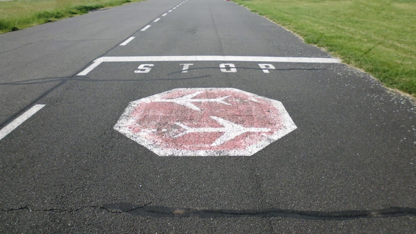 a stop sign drawn on a street with grass