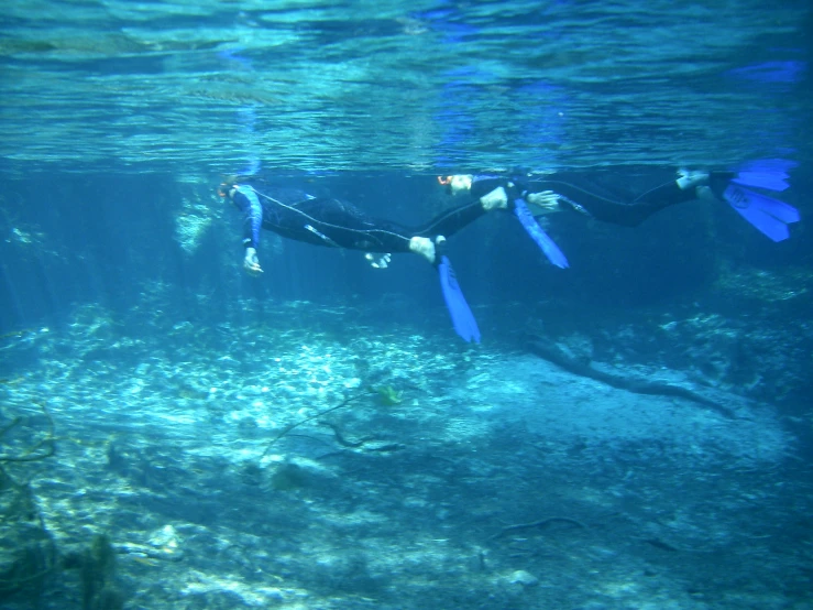 a woman swimming with her scuba gear on in the ocean