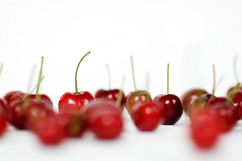 there are many small cherries on the stem