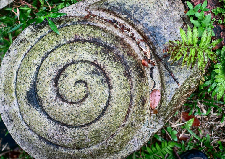 an image of a rock with a spiral design on it