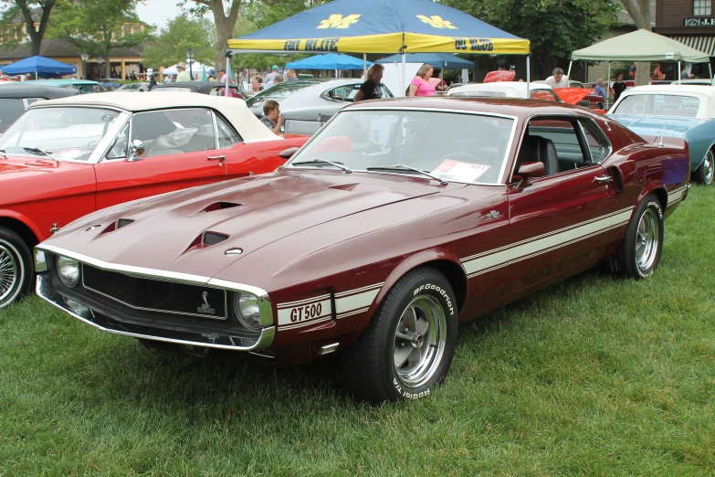 a maroon muscle car parked on top of a lush green field