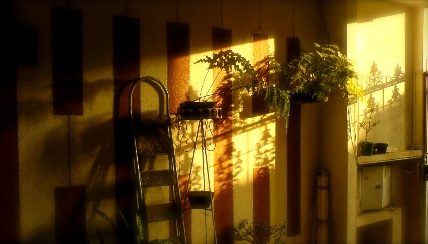 the back wall of a room with planters and sun shining through a window