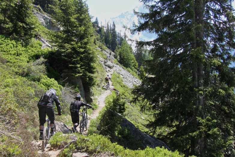 a man and a woman riding mountain bikes up a path