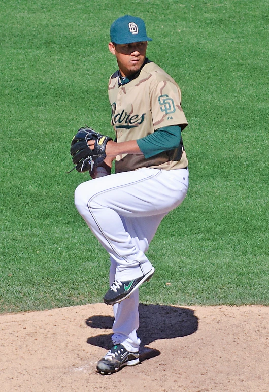 the pitcher is in position for his ball