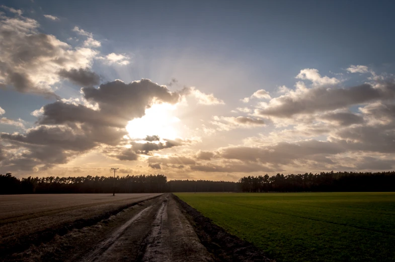 the sun is shining bright over an open field