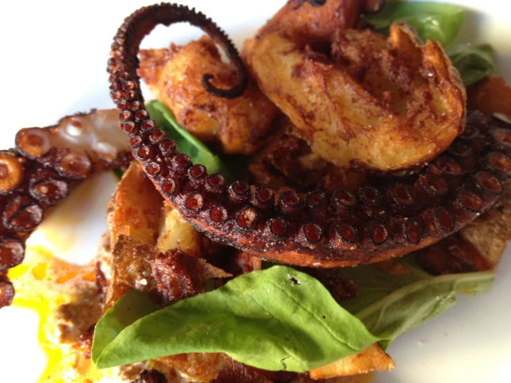 a meal is shown with an octo and potato burgers