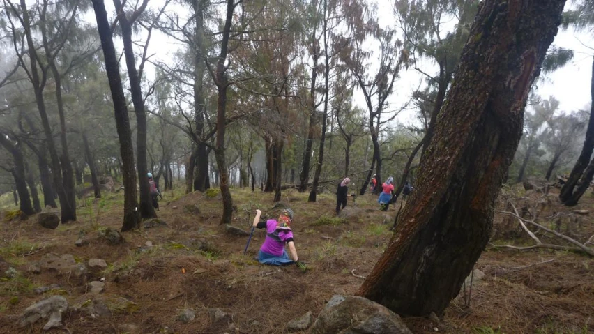 a woman with a purple coat in a forest