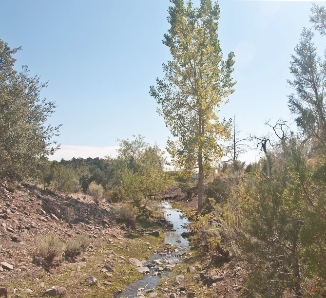 a creek in the middle of some dry grass