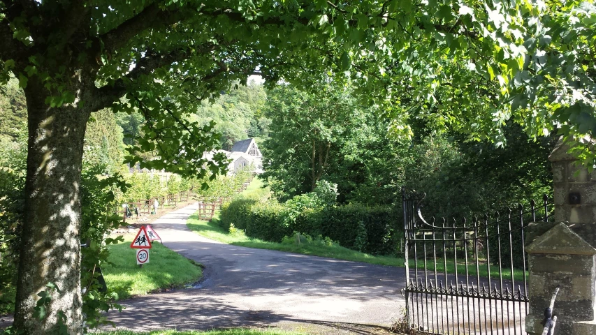 a tree lined road with bike riders on the side