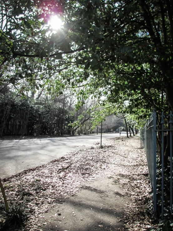 a paved dirt road that has leaf strewn on it and an iron fence on the side