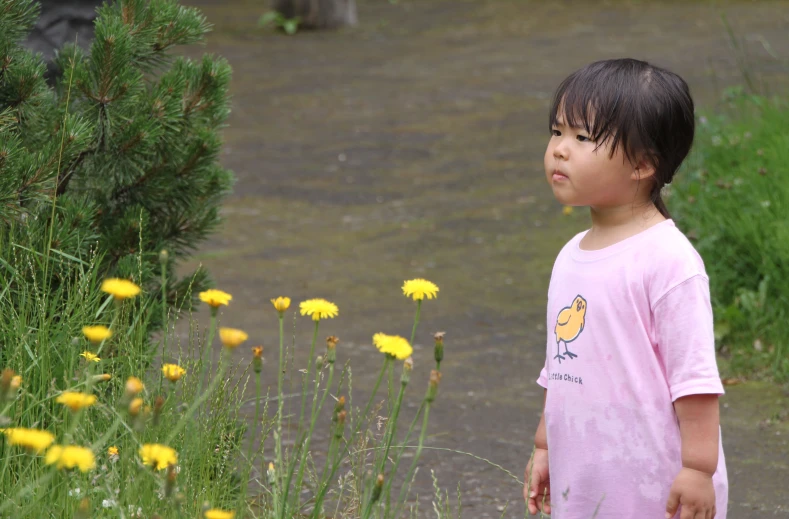 a child standing in front of flowers near a field