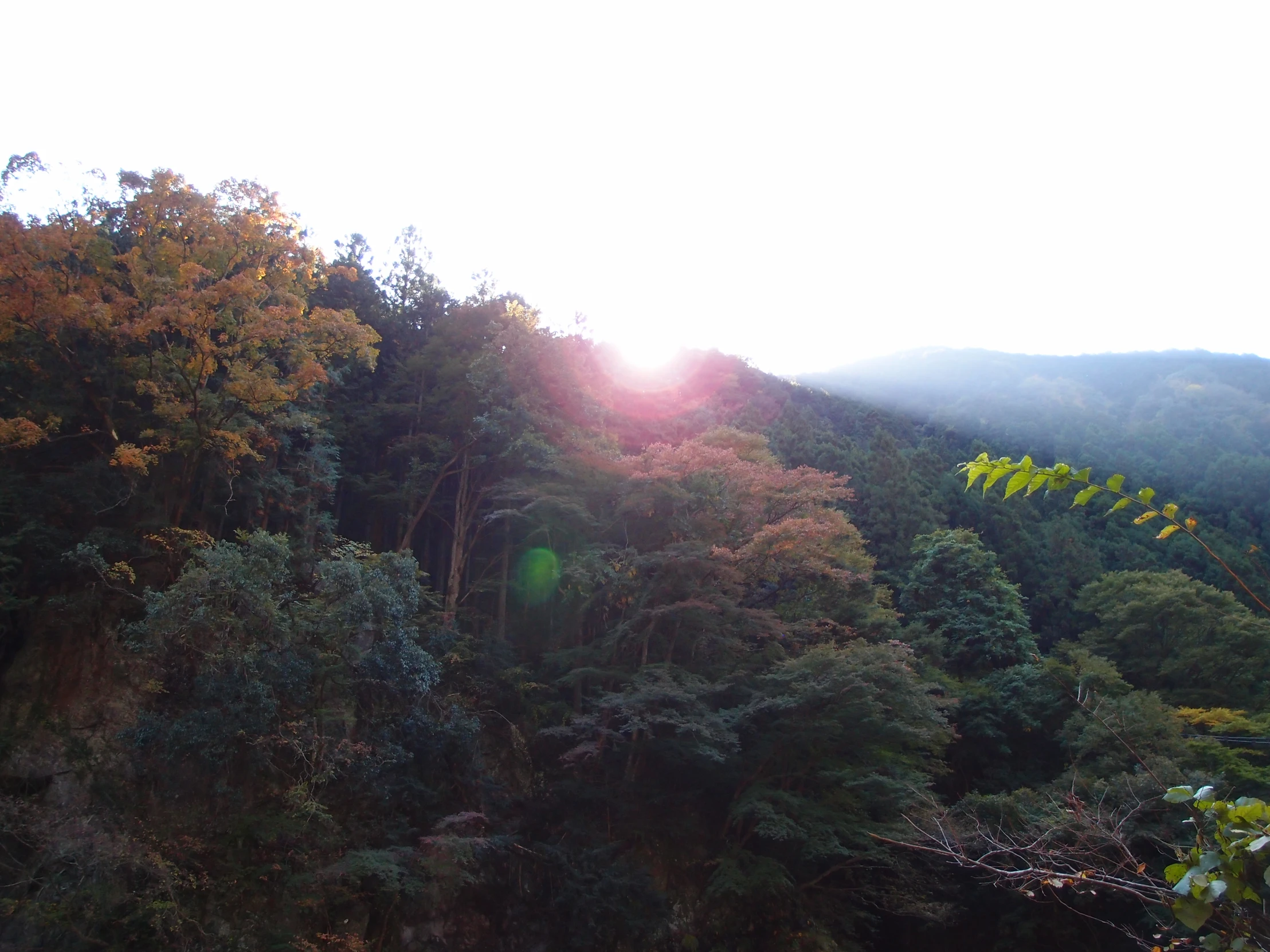 the sun is shining over a forest and mountains